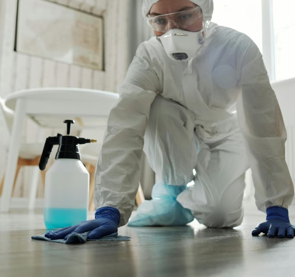 Úklidové služby Tidy24